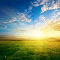 Obituary of David W. McClendon