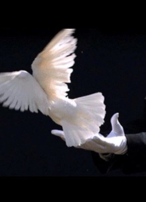 Obituary of Andrew C. Jones