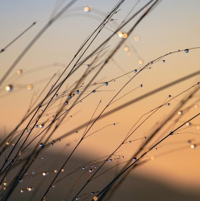 Obituary of Michael John Davis Jr.