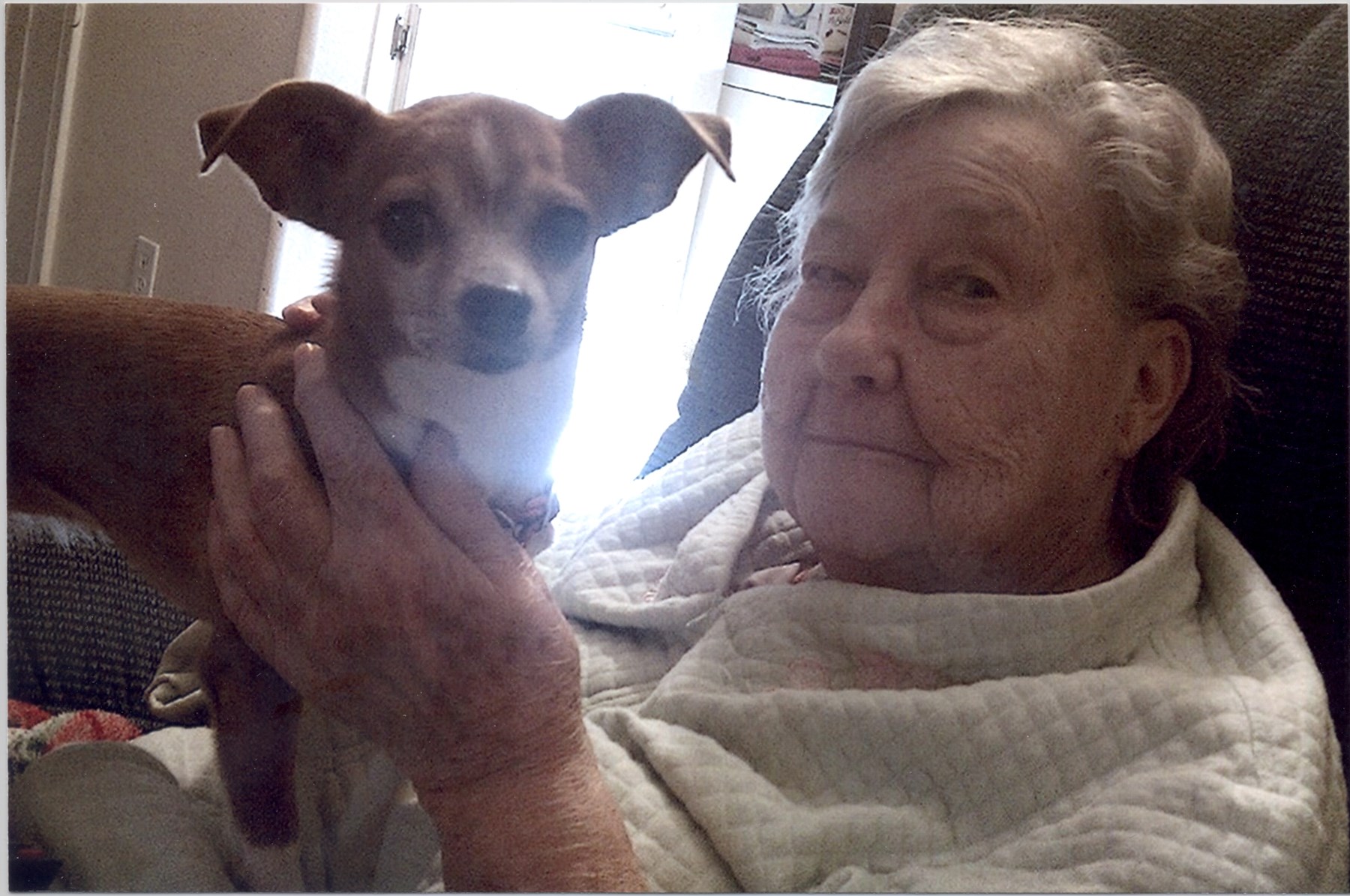 Obituary of Louise Cantrell