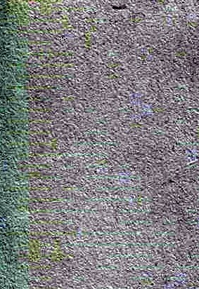 Paul Smith Obituary Seattle, WA