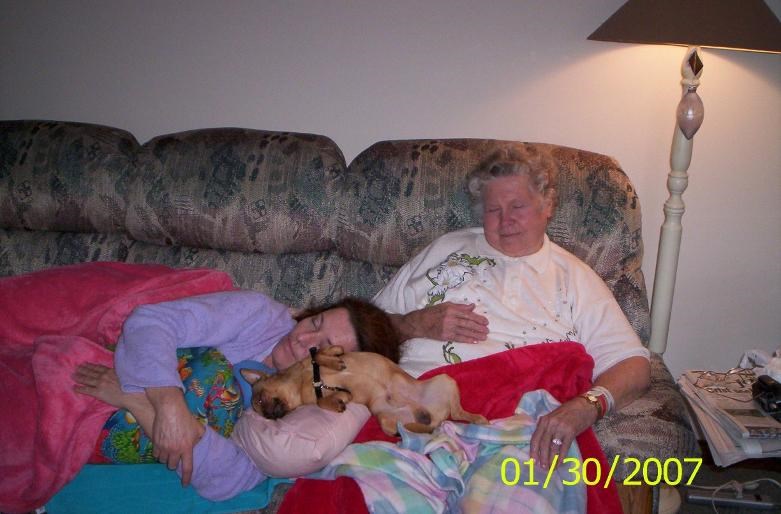 hazelwood pet cremation