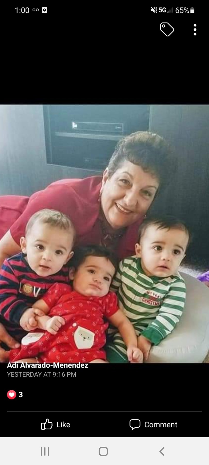 Obituary of Vivian Menendez