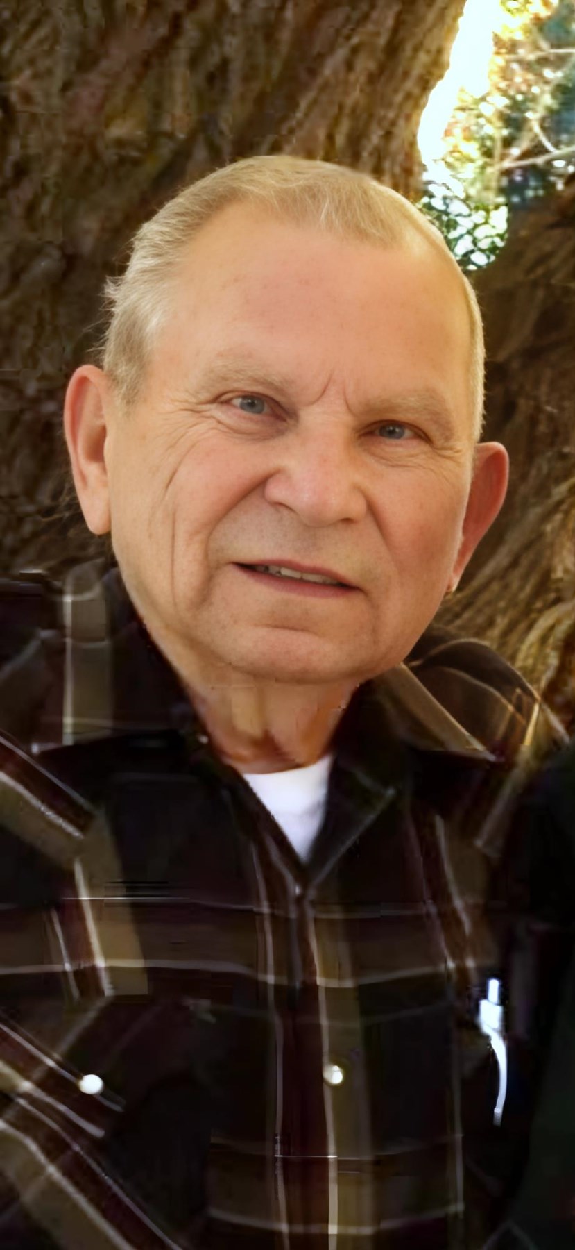 Obituary of Alva Lavern Fuller