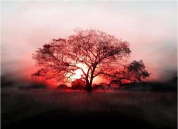 Obituary of Jean Wilson Ruffing