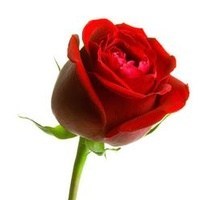 Obituary of Audrey Lee Fondren