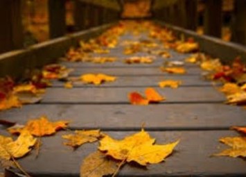 Obituary of Andrew Jesse Van Evera