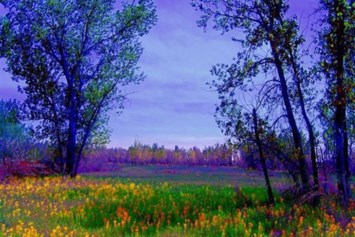 Obituary of Clifford Anthony Williams Jr.