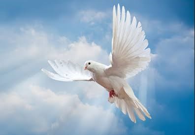 Obituary of Mary Ann Russell
