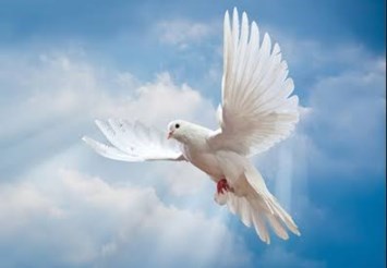Obituary of Mary Ann Russell