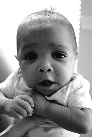 Obituary of Kyli Nell Williams