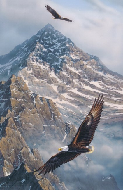 Obituary of Stephen Rader