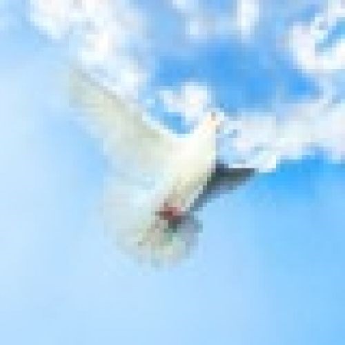 Obituary of Richard Powell