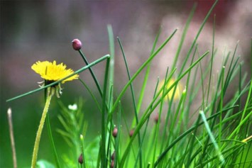 Obituary of Gerald R. Baker