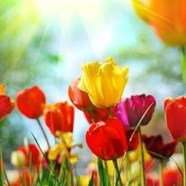 Obituary of Ruby K.  Pollard