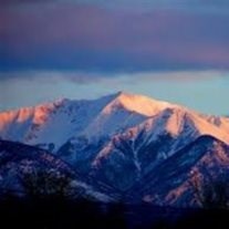 Obituary of Jo-Ann Smith