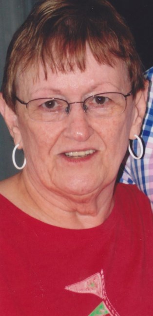 Obituary of Judith Ann Dolan