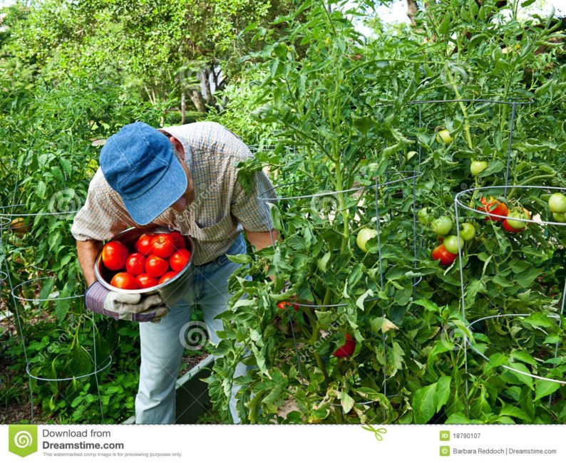 Obituary of Frank Salvatore Raffa