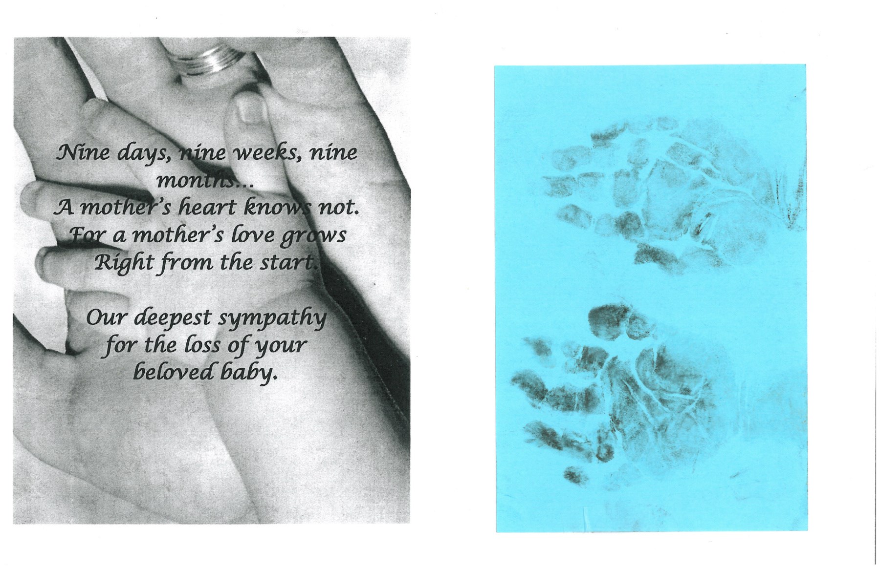 Obituary of Reese (Baby) Alexander Slootweg