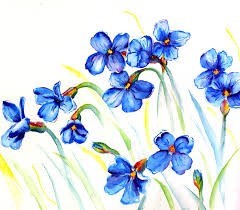 Obituary of Aiko Takeda