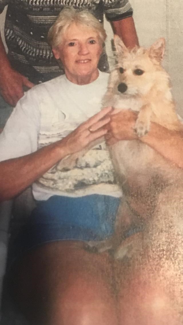 Obituary of Joyce Maloney