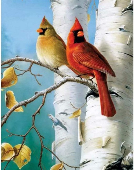 Obituary of Rollamarie Whitbeck