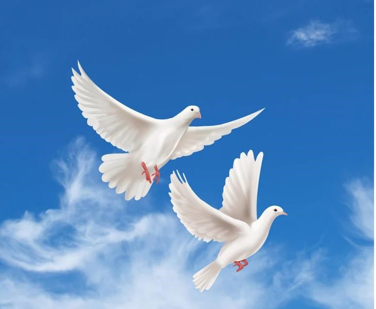 Obituary of Antonio Pedro del Bueno