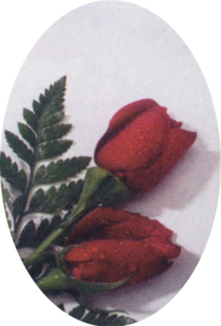 Obituary of Pauline L. Petty