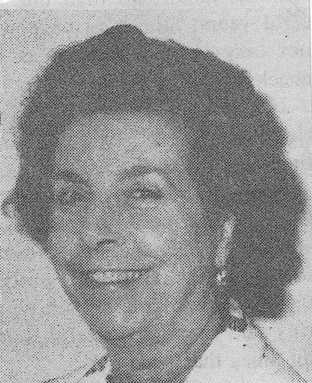 Obituary of Lyla Kennedy