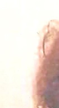 Sheree Ann Williams Buchanan Obituary - Indianapolis, IN