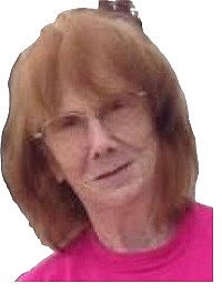 Obituary of Barbara Ann Lewis