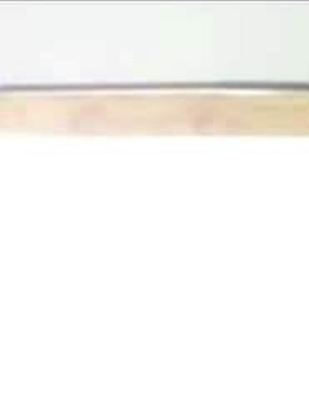 Karen Polsinelli Obituary