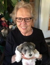 Obituary of Sandra Elizabeth McNamara