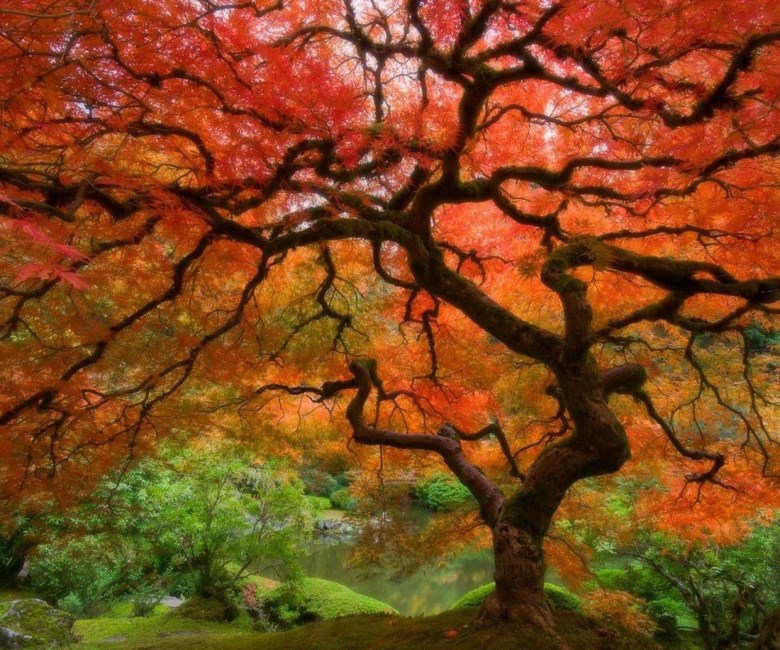 Obituary of Gerald Lynn Garnas