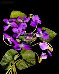 Obituary of Janet Ruth Mathison