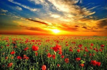 Avis de décès de Taylor Hunter