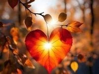 Obituario de Shirley Jane Gordon