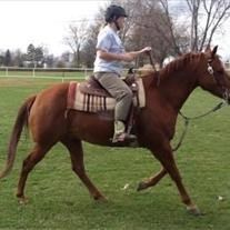 Obituary of Deborah "Debbie" L. Duke