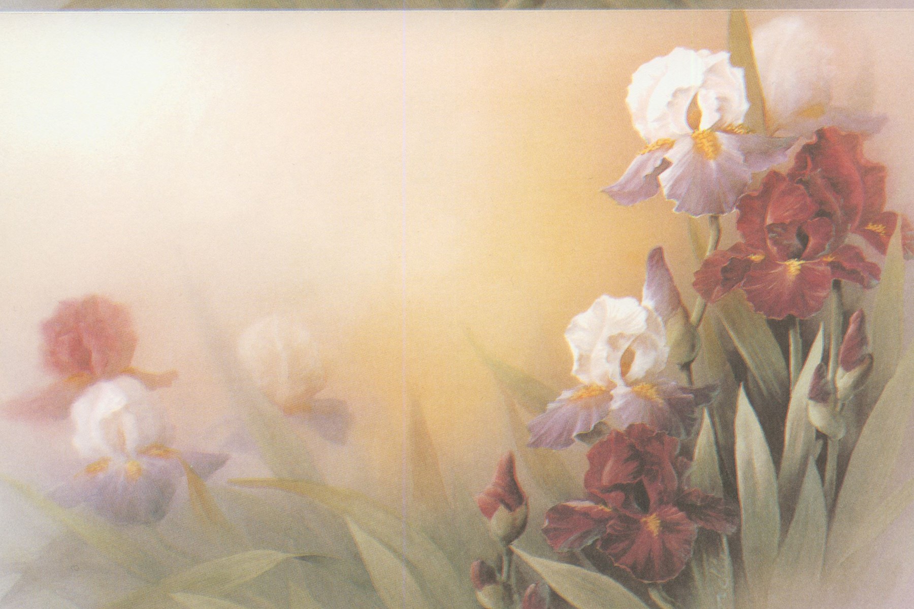 Joyce Weber Obituary - Tumwater, WA