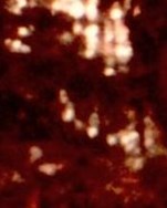 Anthony Rinaldo Obituary - New City, NY