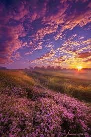 Obituary of Judie Ann Bankett