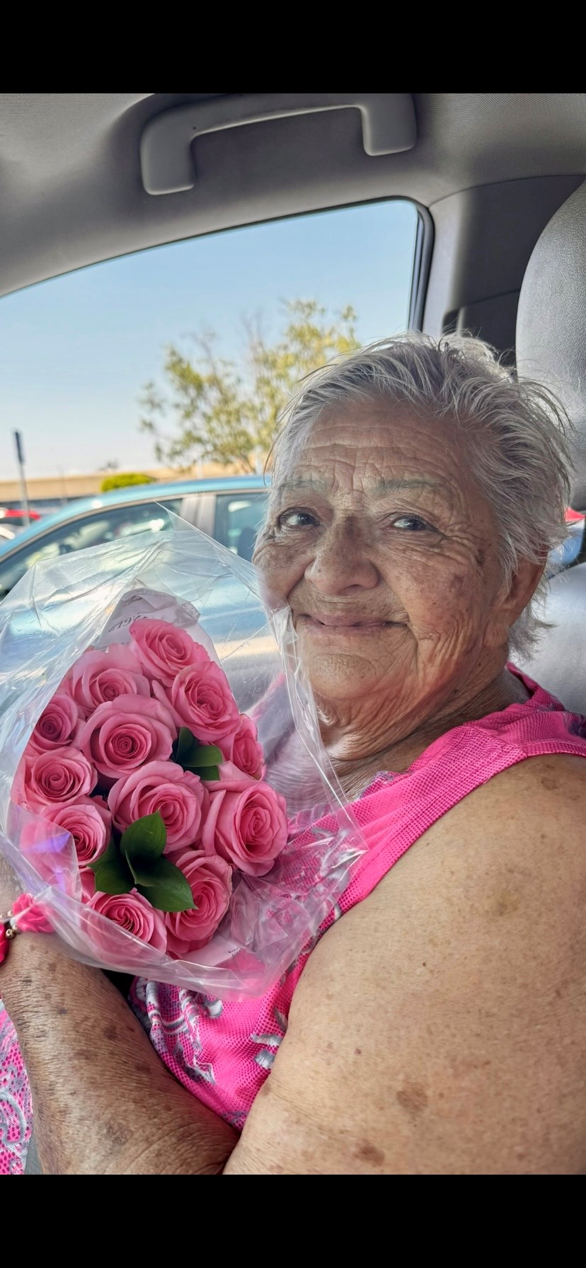 Obituary of Elva P. Salido