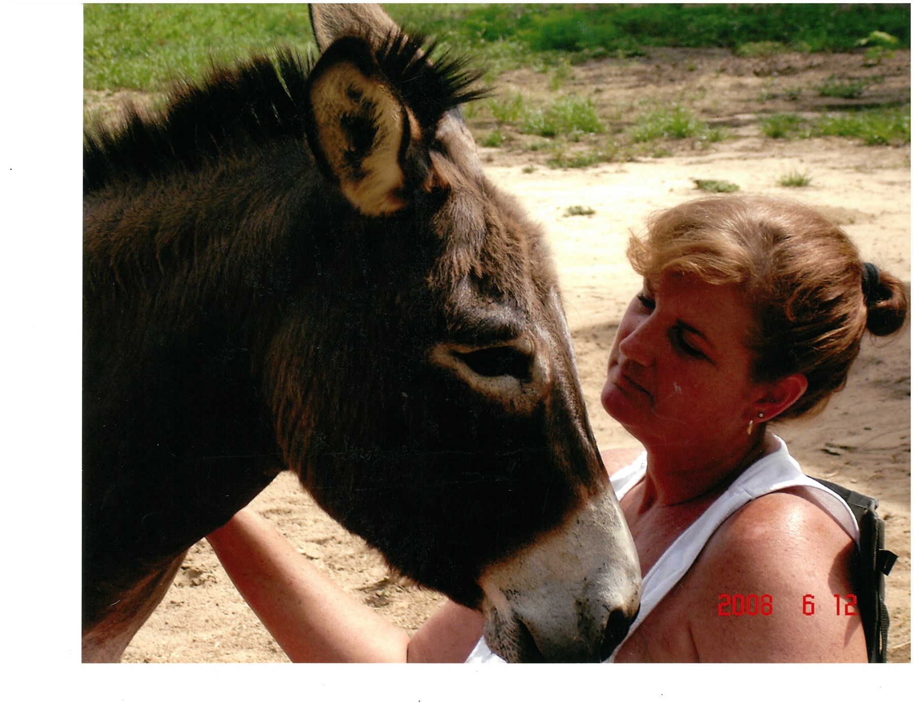 Obituary of Jodi Trimble Redding