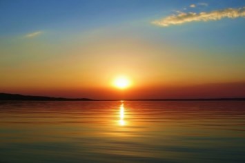 Obituary of Dr. Kadija N. Williams