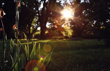 Obituary of Mr. Wayne Alan Fillion