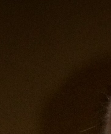 Billy Morris Obituary Rockledge FL billy-morris-obituary-rockledge-fl