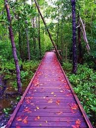 Obituary of Mary Michele Schreck