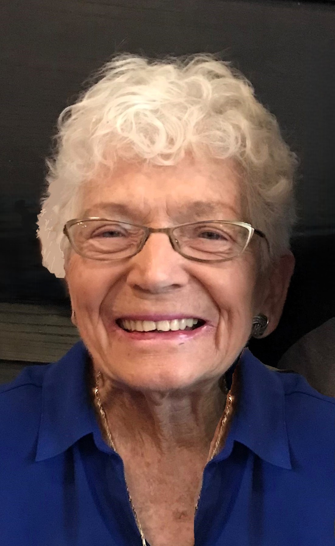 Obituary of Patricia Ann Bouwhuis