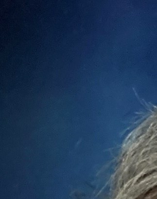 Rose-Delia Rios Obituary - Knoxville, TN