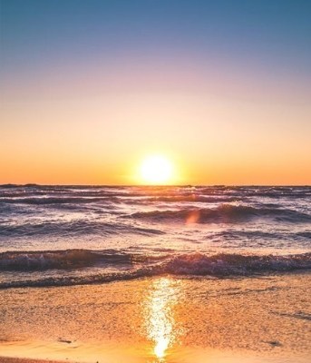 Obituary of Lisa Renee Eagleson